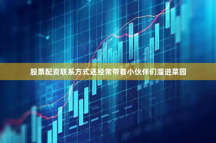 股票配资联系方式还经常带着小伙伴们溜进菜园