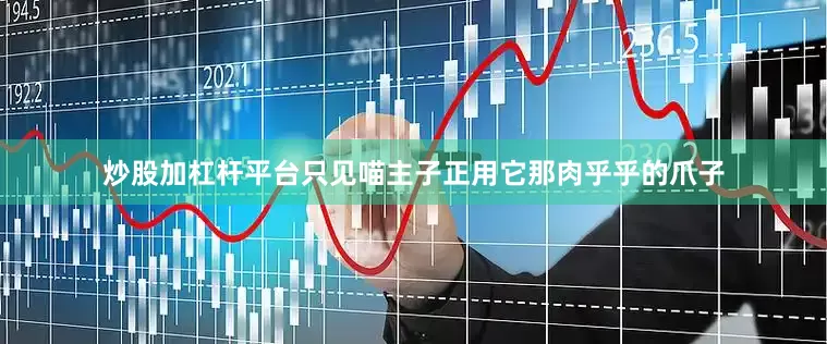 炒股加杠杆平台只见喵主子正用它那肉乎乎的爪子