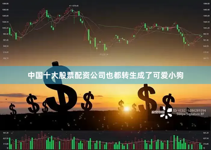 中国十大股票配资公司也都转生成了可爱小狗