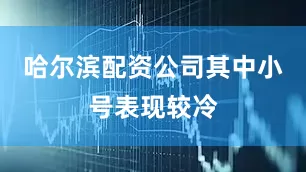 哈尔滨配资公司其中小号表现较冷