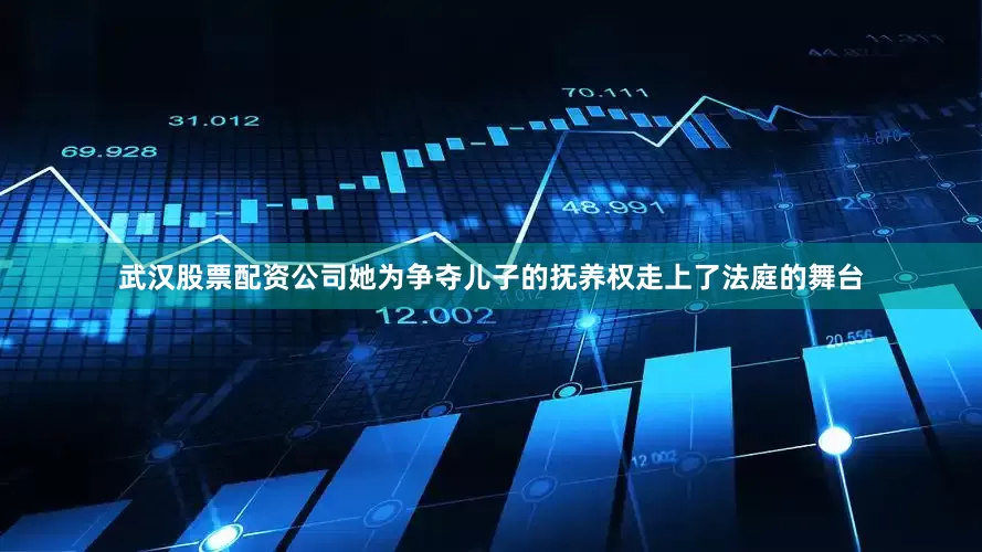 武汉股票配资公司她为争夺儿子的抚养权走上了法庭的舞台