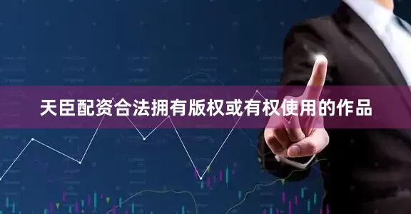 天臣配资合法拥有版权或有权使用的作品