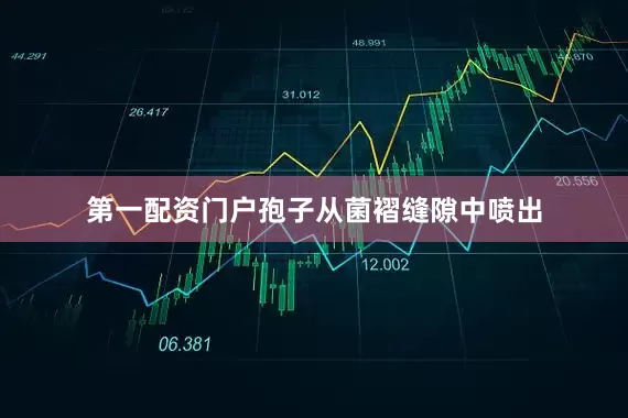 第一配资门户孢子从菌褶缝隙中喷出