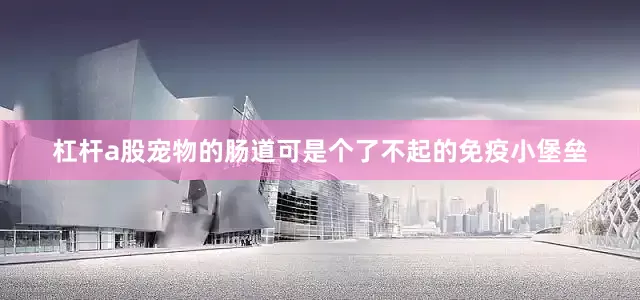 杠杆a股宠物的肠道可是个了不起的免疫小堡垒