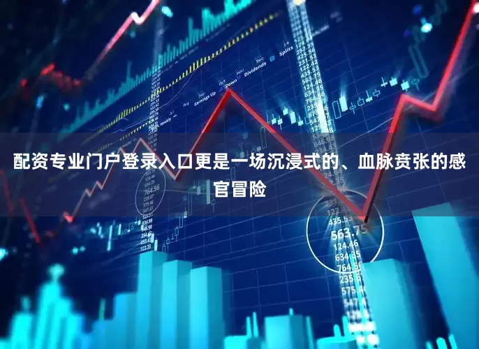 配资专业门户登录入口更是一场沉浸式的、血脉贲张的感官冒险